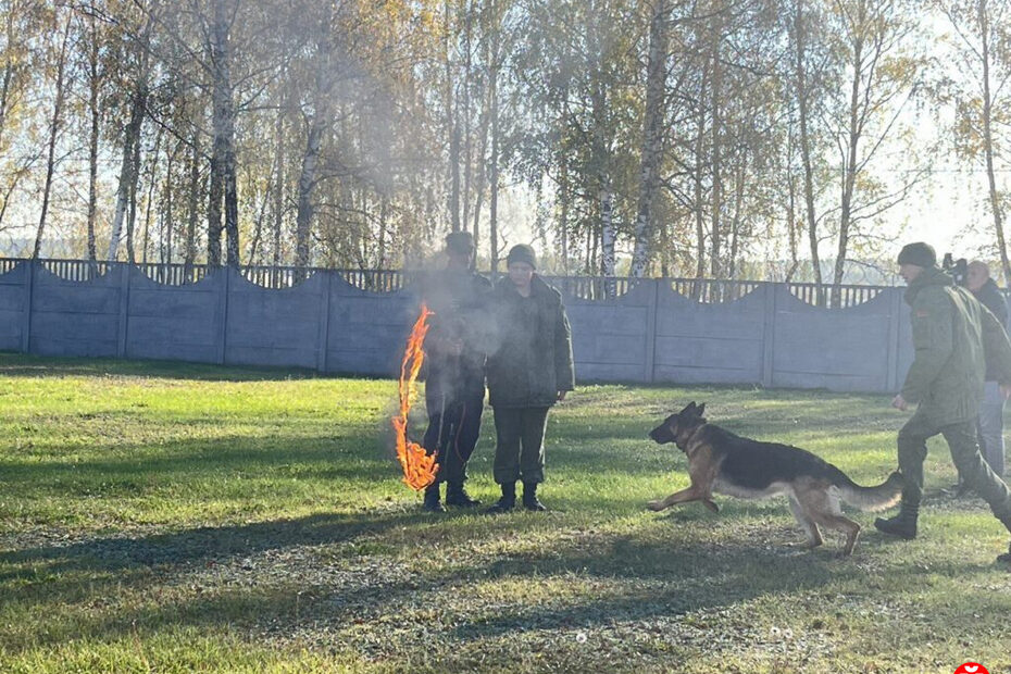 БНТУ ВТФ профориентация